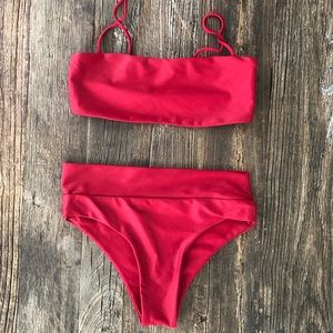 Stone fox swim